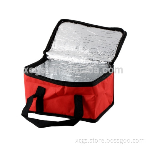 Hot sales cooler bag for women, foam liner, picnic backpack wine cooler bags
